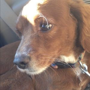 Meet your Posher, Ronda